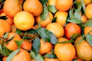 Side effects of blood orange (Image via Unsplash/Graphic Node)